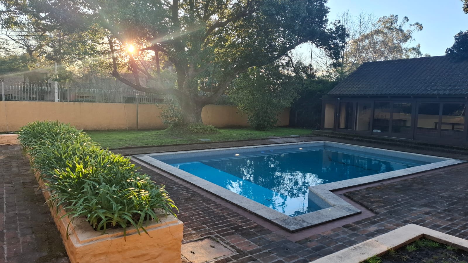 Descripción de la imagen 7